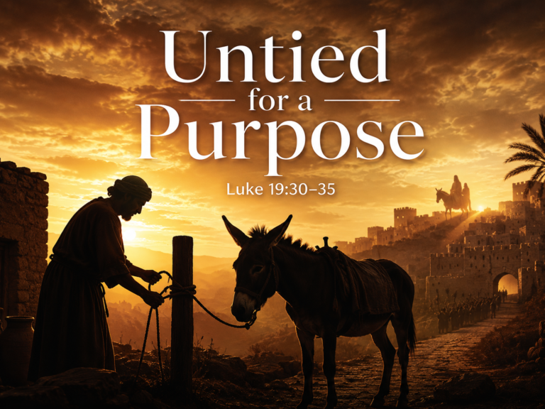 untied for a purpose: when jesus calls what others overlooked